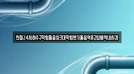 친절24시하수구막힘뚫음싱크대막힘변기뚫음역류고압세척내시경