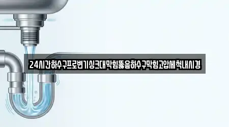 24시간하수구프로변기싱크대막힘뚫음하수구막힘고압세척내시경