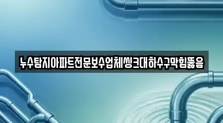 누수탐지아파트전문보수업체씽크대하수구막힘뚫음