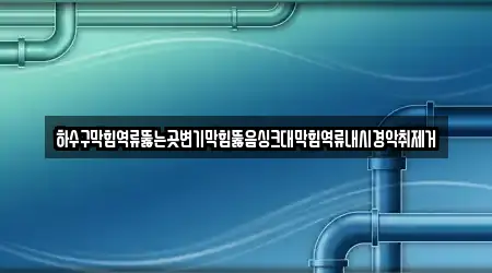 하수구막힘역류뚫는곳변기막힘뚫음싱크대막힘역류내시경악취제거