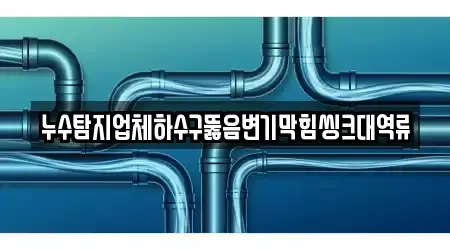 누수탐지업체하수구뚫음변기막힘씽크대역류