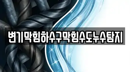 변기막힘하수구막힘수도누수탐지