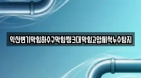 익산변기막힘하수구막힘씽크대막힘고압세척누수탐지