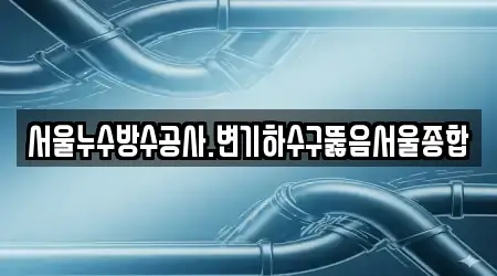 서울누수방수공사.변기하수구뚫음서울종합