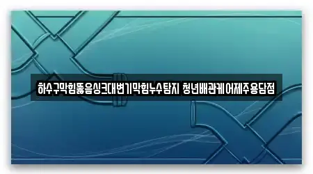 하수구막힘뚫음싱크대변기막힘누수탐지 청년배관케어제주용담점