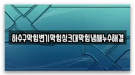 하수구막힘변기막힘싱크대막힘냄새누수해결