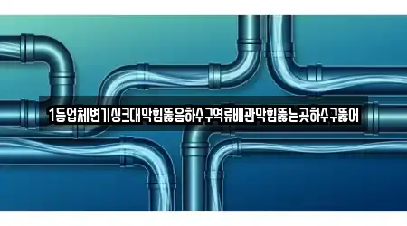 1등업체변기싱크대막힘뚫음하수구역류배관막힘뚫는곳하수구뚫어