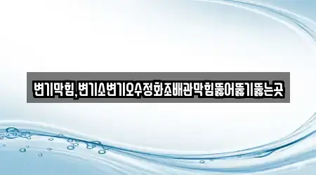 변기막힘,변기소변기오수정화조배관막힘뚫어뚫기뚫는곳