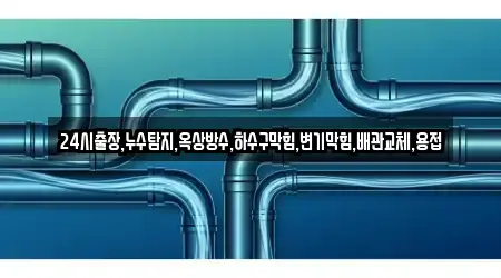24시출장,누수탐지,옥상방수,하수구막힘,변기막힘,배관교체,용접