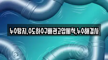 누수탐지,수도하수구배관고압세척,누수해결사