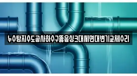 누수탐지수도공사하수구뚫음싱크대세면대변기교체수리