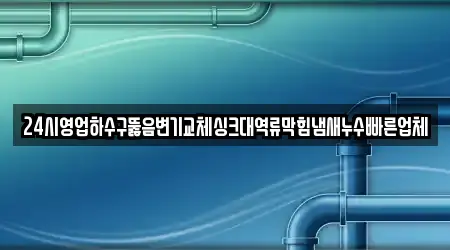 24시영업하수구뚫음변기교체싱크대역류막힘냄새누수빠른업체