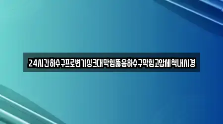 24시간하수구프로변기싱크대막힘뚫음하수구막힘고압세척내시경