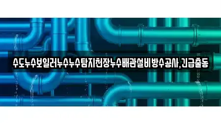 수도누수보일러누수누수탐지천장누수배관설비방수공사,긴급출동