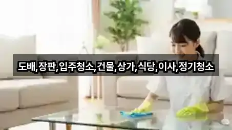 도배,장판,입주청소,건물,상가,식당,이사,정기청소