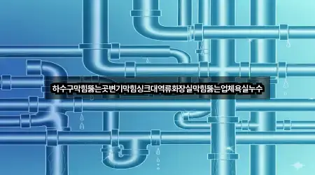 하수구막힘뚫는곳변기막힘싱크대역류화장실막힘뚫는업체욕실누수