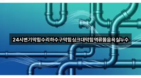 24시변기막힘수리하수구막힘싱크대막힘역류뚫음욕실누수