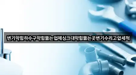 변기막힘하수구막힘뚫는업체싱크대막힘뚫는곳변기수리고압세척