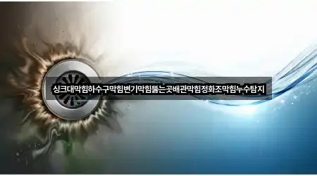 싱크대막힘하수구막힘변기막힘뚫는곳배관막힘정화조막힘누수탐지