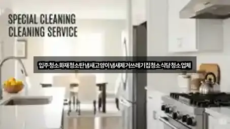 입주청소화재청소탄냄새고양이냄새제거쓰레기집청소식당청소업체