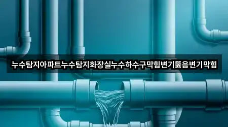 누수탐지아파트누수탐지화장실누수하수구막힘변기뚫음변기막힘