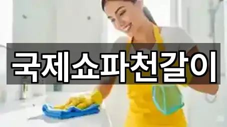 국제쇼파천갈이