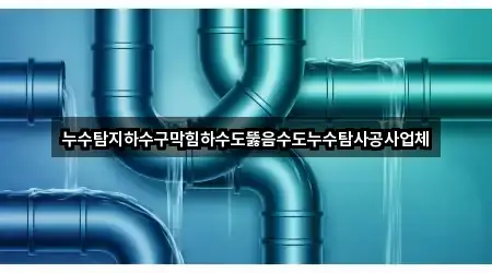 누수탐지하수구막힘하수도뚫음수도누수탐사공사업체