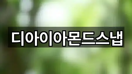 디아이아몬드스냅