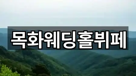 목화웨딩홀뷔페