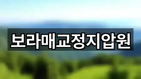 보라매교정지압원