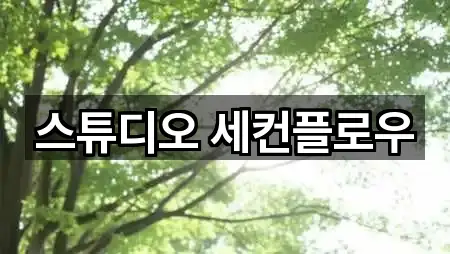 스튜디오 세컨플로우