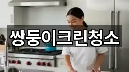 쌍둥이크린청소