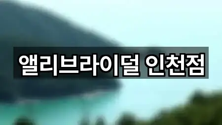 앨리브라이덜 인천점