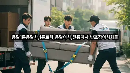 지금 주변 안동시 신안동 용달이사 1곳