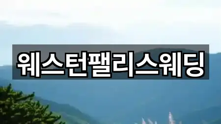 웨스턴팰리스웨딩