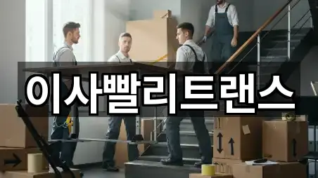 이사빨리트랜스