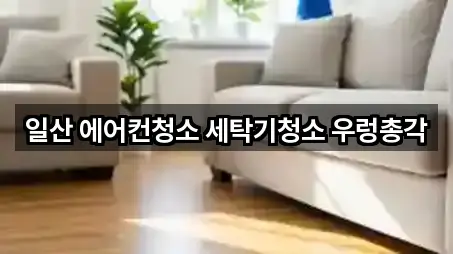 일산 에어컨청소 세탁기청소 우렁총각