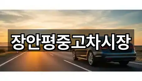 중고차 위치/연락처 한 번에 3곳