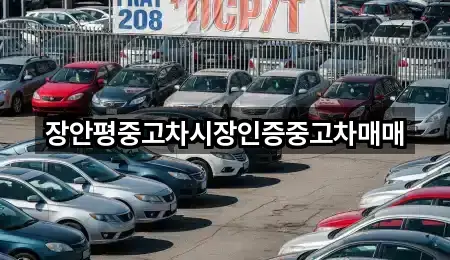 장안평중고차시장인증중고차매매