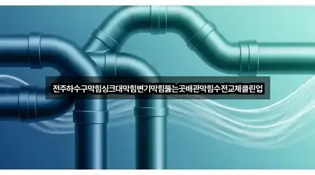 전주하수구막힘싱크대막힘변기막힘뚫는곳배관막힘수전교체클린업