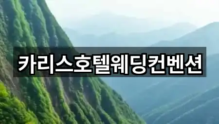 카리스호텔웨딩컨벤션