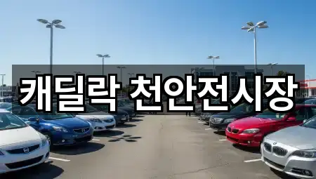 주소 브리핑: 충남 천안 동남구 구성동 자동차전시장 3곳 주소 브리핑: 충남 천안 동남구 구성동 자동차전시장 3곳