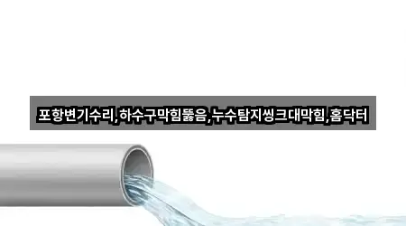 포항변기수리,하수구막힘뚫음,누수탐지씽크대막힘,홈닥터