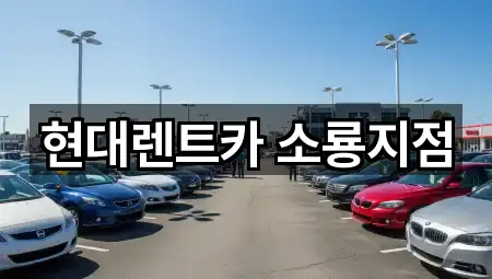 5곳 전북특별자치도 군산 해망동 렌트카 업데이트