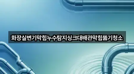 화장실변기막힘누수탐지싱크대배관막힘뚫기청소