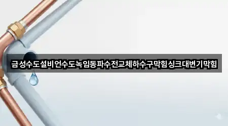 금성수도설비언수도녹임동파수전교체하수구막힘싱크대변기막힘