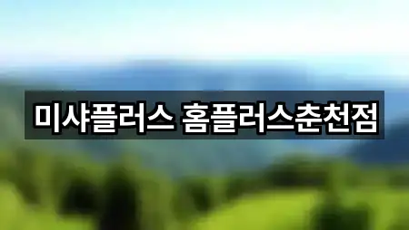 미샤플러스 홈플러스춘천점