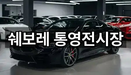 통영시 무전동 자동차전시장 기본 정보 1곳