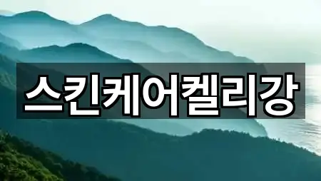 스킨케어켈리강