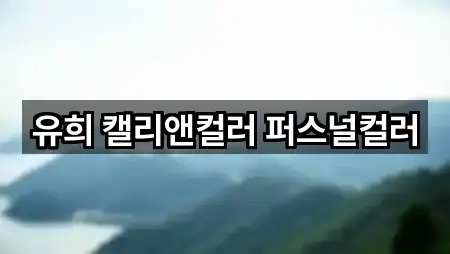 즉시 지도: 인천 서구 경서동 웨딩컨설팅 1곳